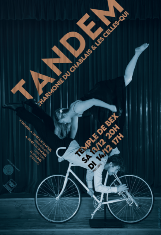 Affiche Tandem web